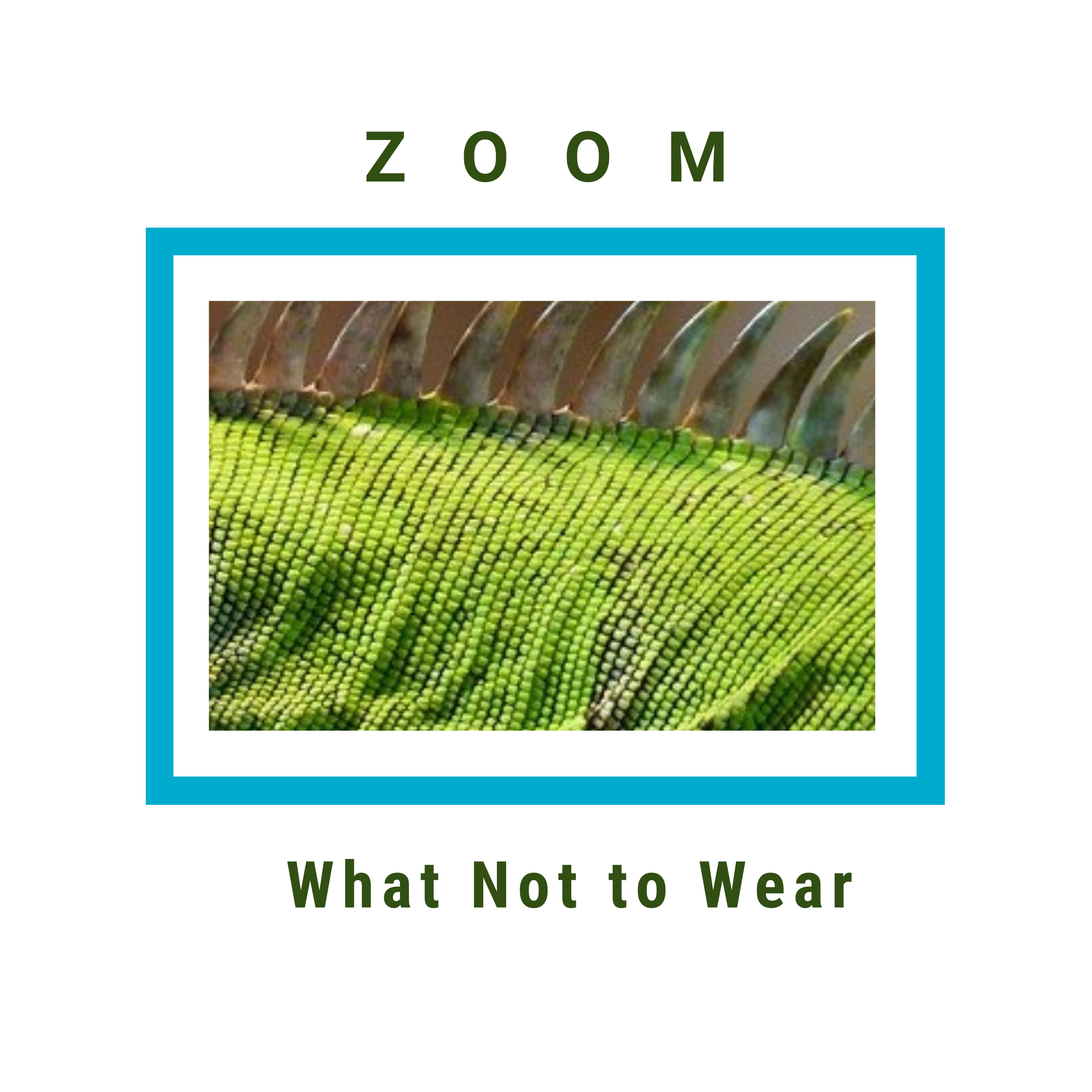 Green iguana photo with text above and below stating Zoom what not to wear